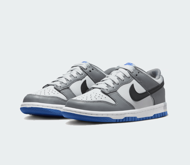 nike-dunk-low-cool-grey-3