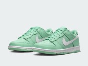 nike-dunk-low-emerald-rise-2