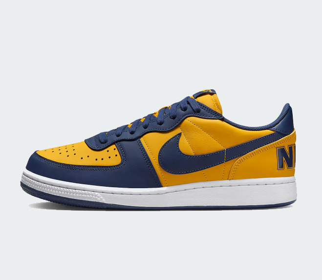 nike-terminator-low-michigan